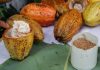 Expoferia del Cacao y Chocolate