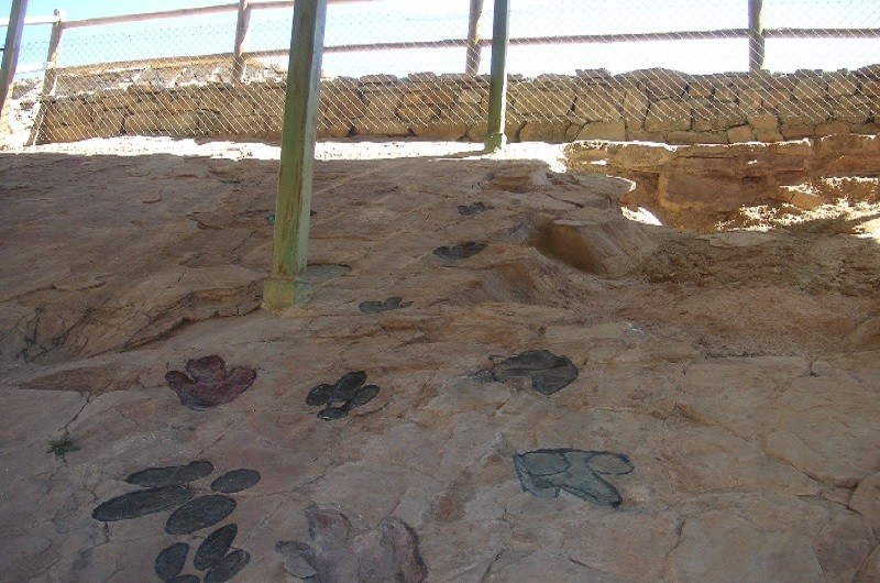 dinos El modo de caminar de los dinosaurios