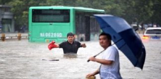 gigante asiático
