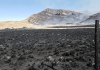 Perú: Incendio forestal deja un fallecido en región de Puno incendio forestal en Perú
