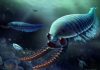 Investigadores describen criatura extinta emparentada con insectos Criatura extinta
