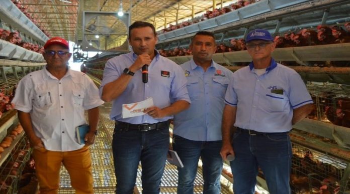 producción avícola