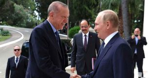Rusia confirma encuentro entre Putin y Erdogan en Sochi