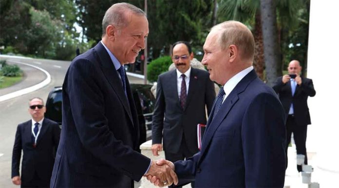 Rusia confirma encuentro entre Putin y Erdogan en Sochi