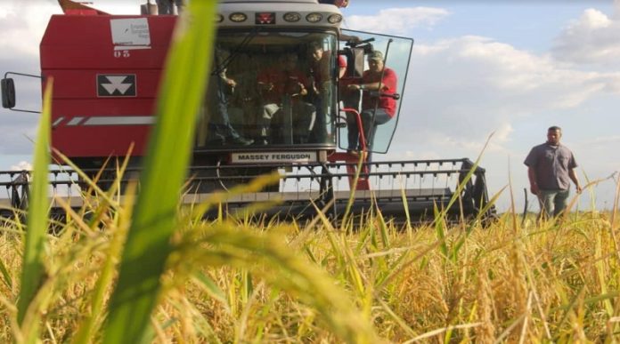 Economia Guarico Zona económica