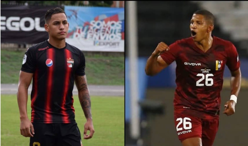 Vinotinto2
