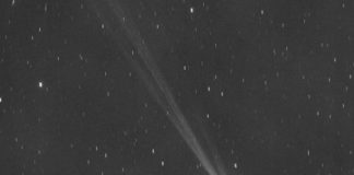 Cometa verde Nishimura