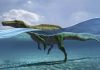 Dinosaurios que sabían nadar