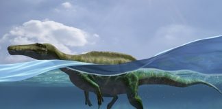 Dinosaurios que sabían nadar