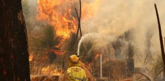 incendios forestales