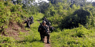 FANB avanza con Operación Roraima 2023