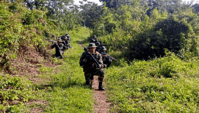 FANB avanza con Operación Roraima 2023