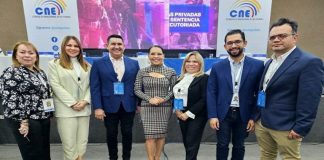 Misión Venezolana de Observación Internacional