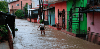 Tormenta tropical Max