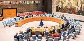 Consejo de Seguridad de ONU