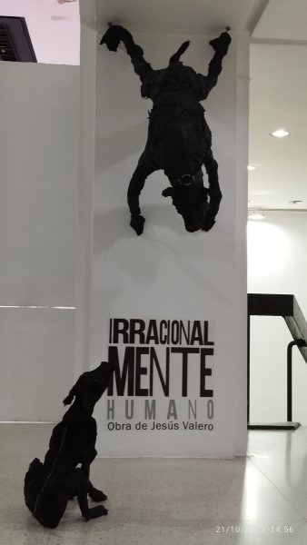 Irracionalmente humano-Jesús Valero-Ciudad Escrita-Vielsi Arias