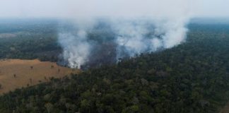 Deforestación en la Amazonia