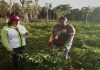 Comuna Agrominera favorece a más de 10 mil habitantes en eje Esequibo