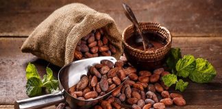 Programa de desarrollo agrícola