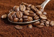AprocAndes - Producción de Café