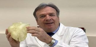 Científicos italianos desarrollan nuevo corazón artificial