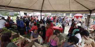 Feria del campo soberano