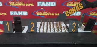 FANB - Delincuencia Organizada