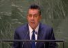 Grupo de Amigos de la carta de la ONU