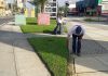 Cuadrillas de Carabobo Te Quiero realizan poda y limpieza en Avenida Bolívar de Valencia Poda y limpieza en Av. Bolívar