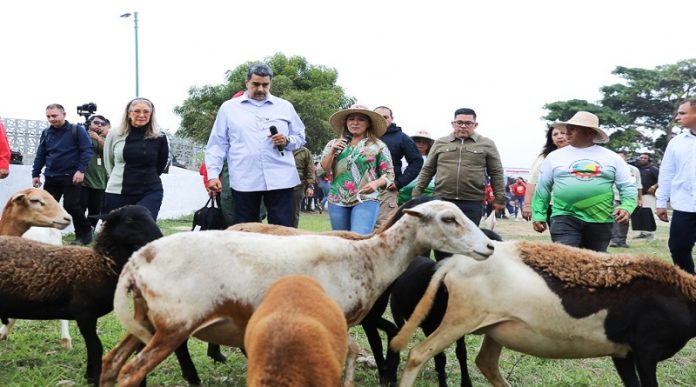 Jefe de Estado instruye incrementar conucos en escuelas y liceos del país Jefe de Estado instruye incrementar conucos en escuelas y liceos del país