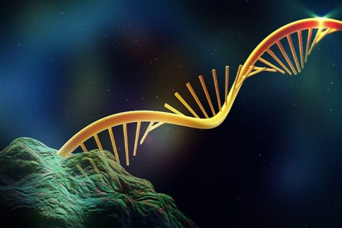 la vida en la Tierra