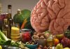 El cerebro