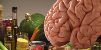 El cerebro