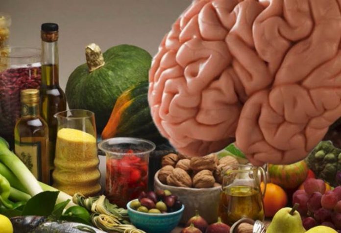 El cerebro