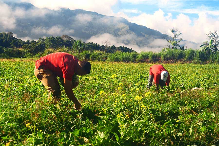 AgroVenezuela Gran Misión AgroVenezuela