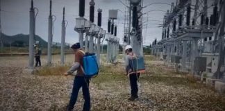 Corpoelec - Control de Vegetación