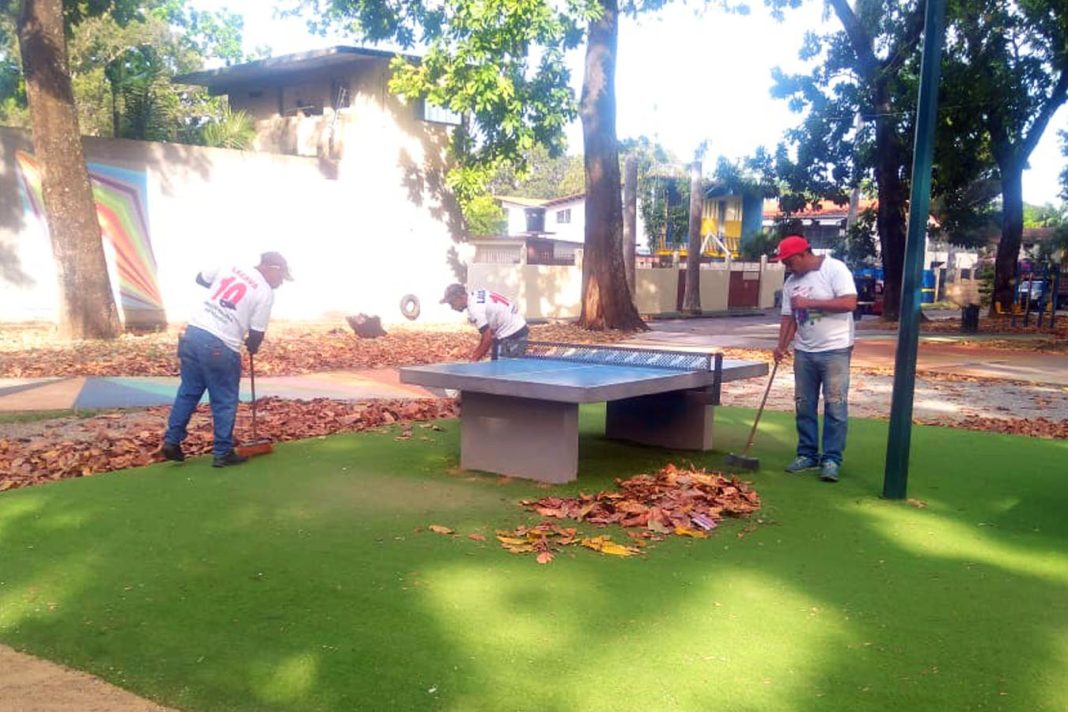 Limpieza y poda en la Gran Valencia