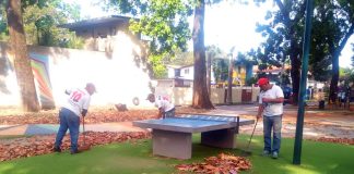 Limpieza y poda en la Gran Valencia