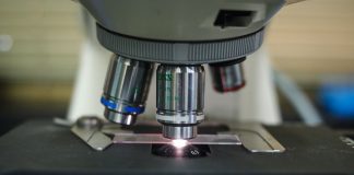 Cursos para la comunidad científica