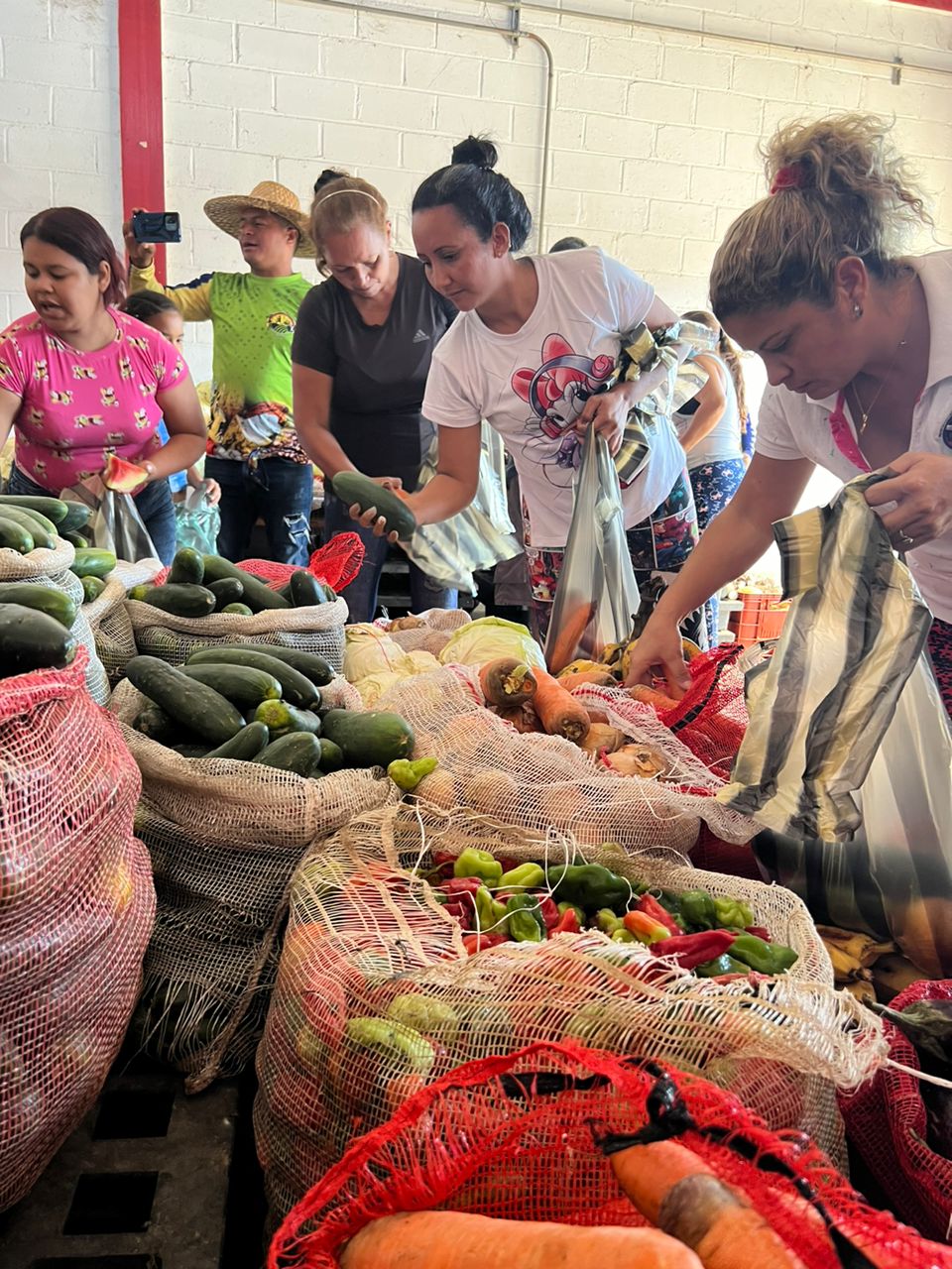 Movimiento Nacional Campesino 2