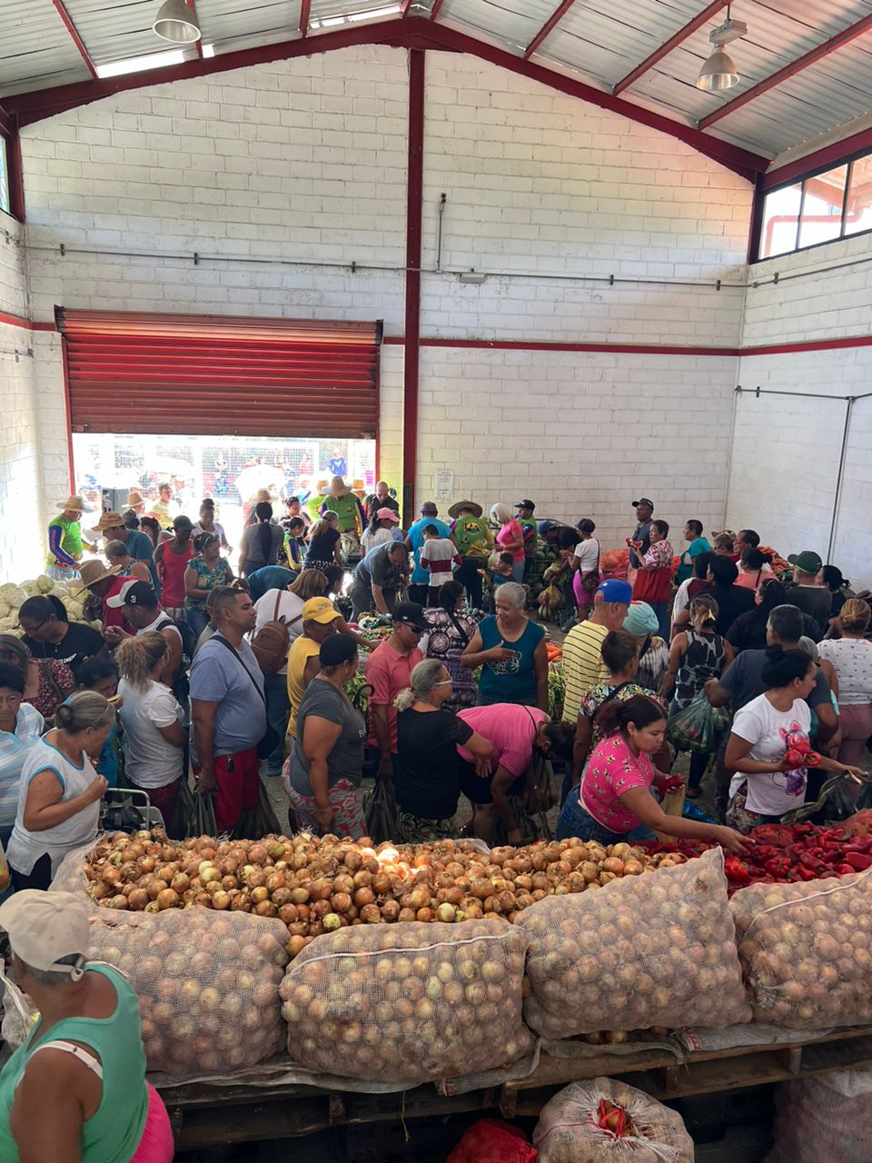 Movimiento Nacional Campesino 