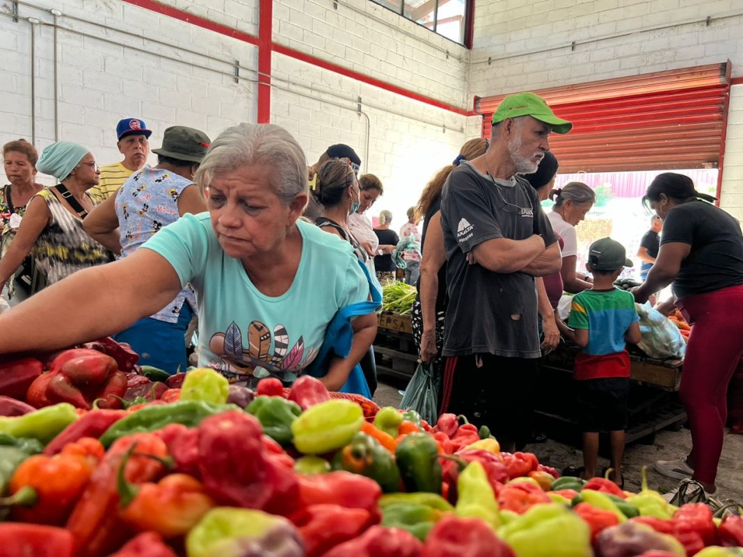 Movimiento Nacional Campesino 5 Movimiento Nacional Campesino 5