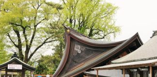 Japón - Terremotos