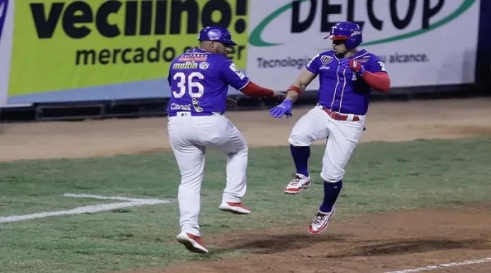 Tiburones Leones
