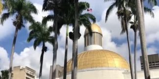 Nueva directiva de la AN