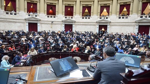 argentina_diputados_twitter_1.jpg_1718483347 Ley Ómnibus