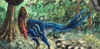 Dinosaurio