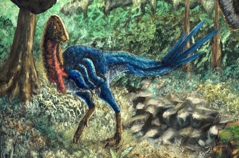 ave Dinosaurio