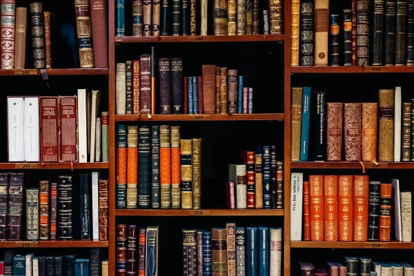 biblioteca-libros-leer 2