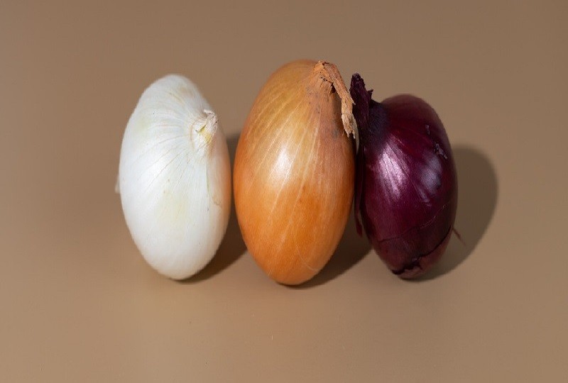 cebolla La cebolla
